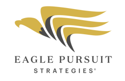Eagle Pursuit Strategies